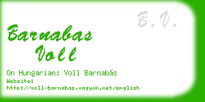 barnabas voll business card