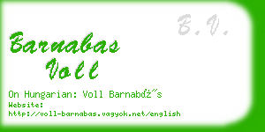 barnabas voll business card